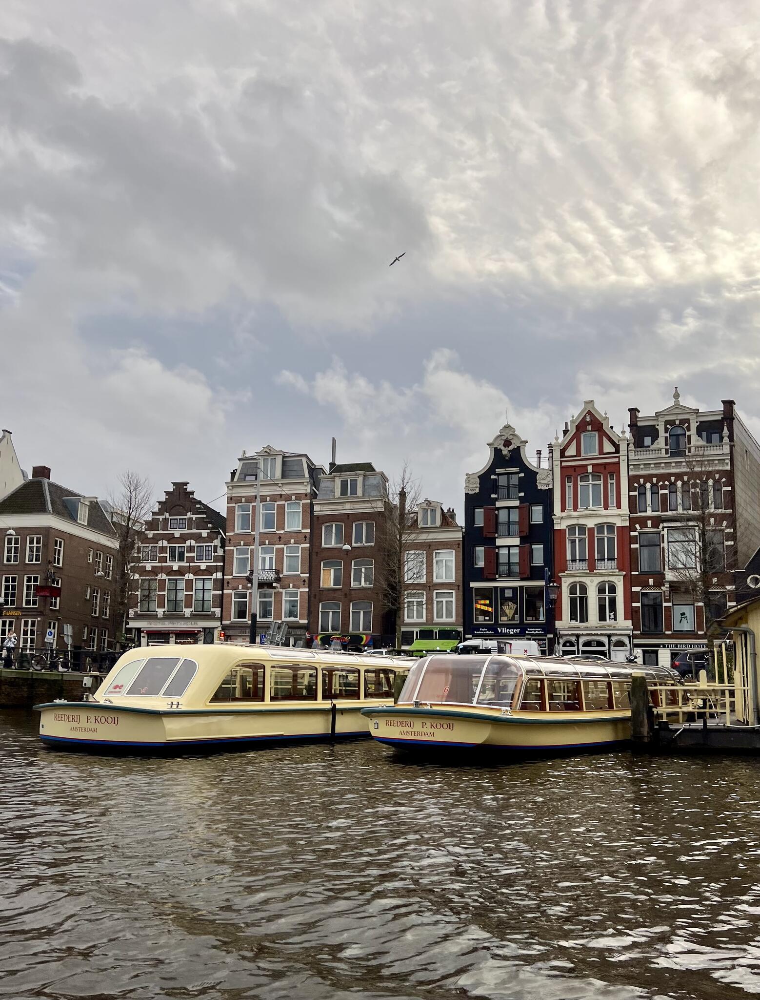 Croisière touristique